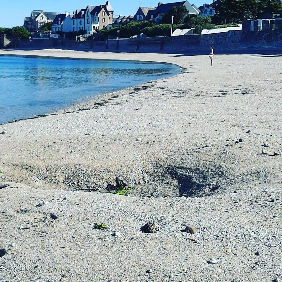 Le 3 Appartement Vue Mer Avec Jardin 100M De La Plage Et De La Thalasso Concarneau Bagian luar foto