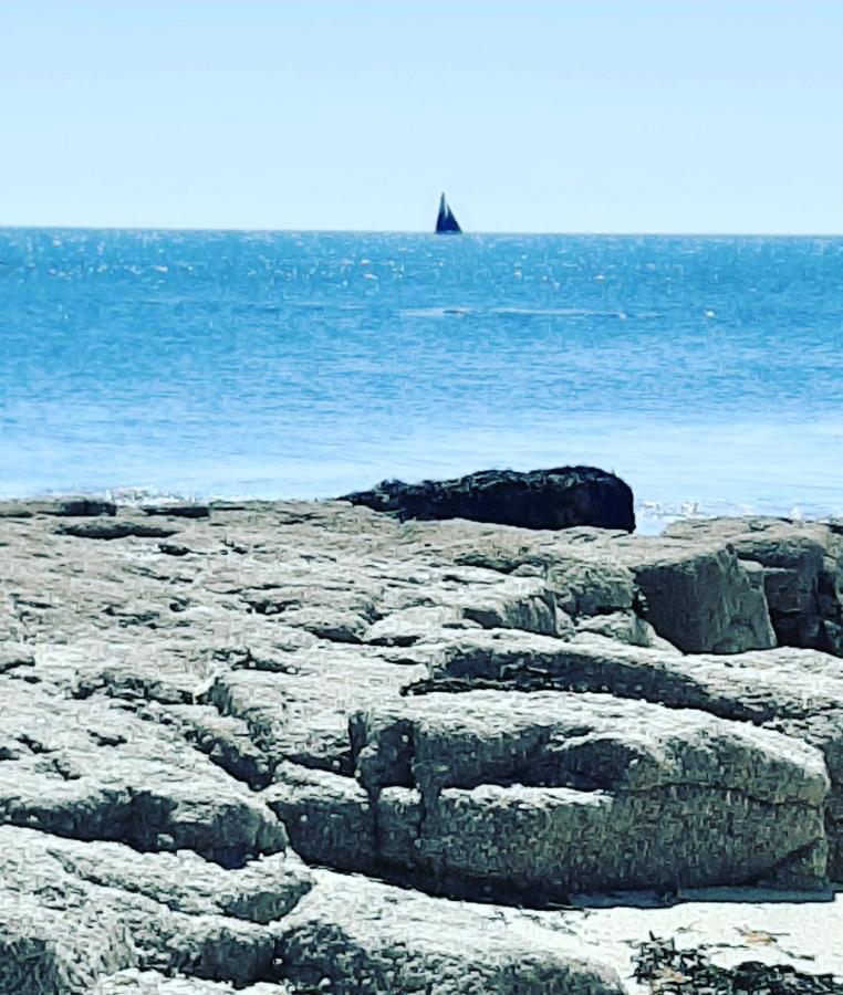 Le 3 Appartement Vue Mer Avec Jardin 100M De La Plage Et De La Thalasso Concarneau Bagian luar foto