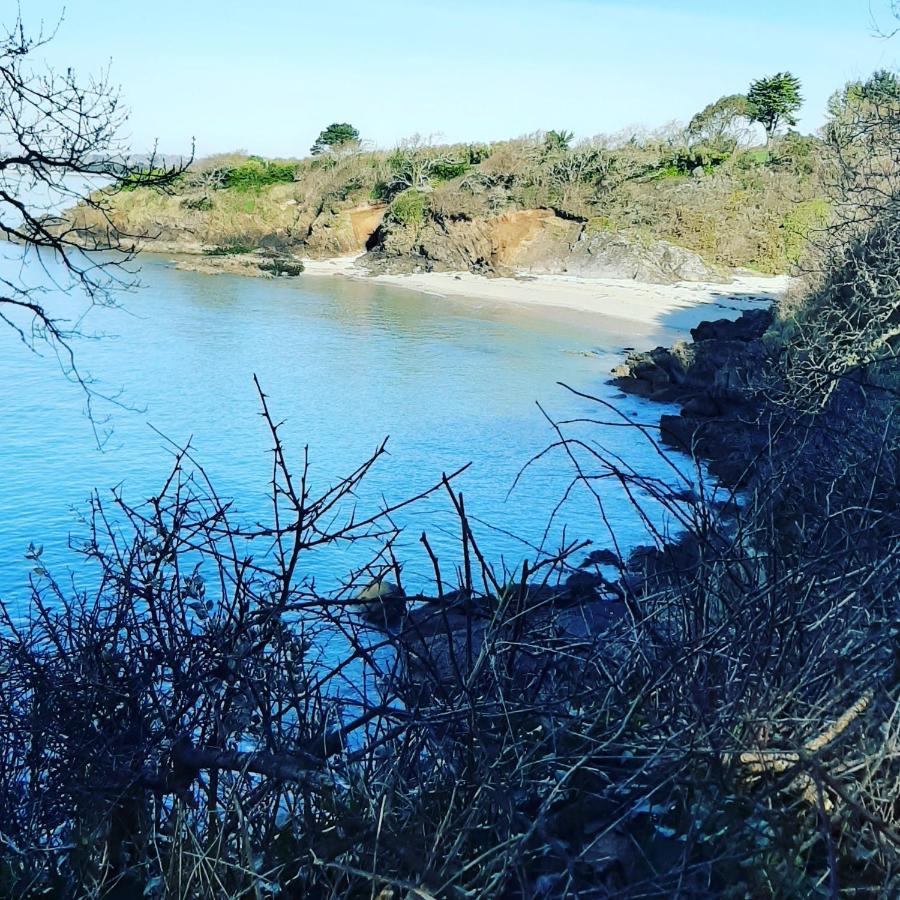 Le 3 Appartement Vue Mer Avec Jardin 100M De La Plage Et De La Thalasso Concarneau Bagian luar foto