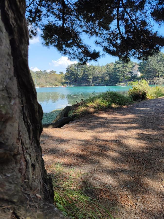 Le 3 Appartement Vue Mer Avec Jardin 100M De La Plage Et De La Thalasso Concarneau Bagian luar foto