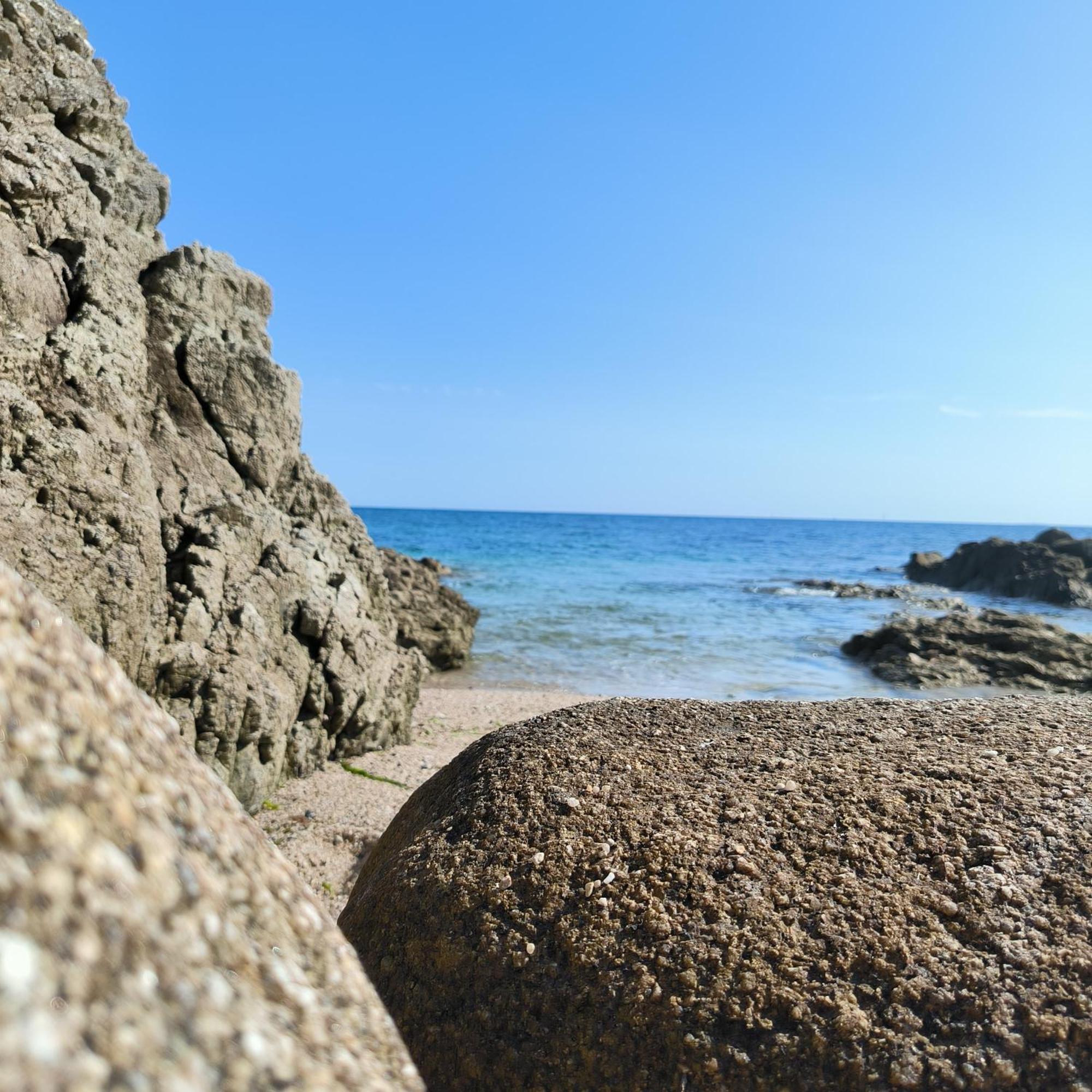 Le 3 Appartement Vue Mer Avec Jardin 100M De La Plage Et De La Thalasso Concarneau Bagian luar foto
